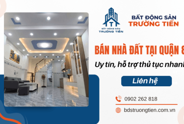 Bán nhà đất tại Quận 8 uy tín, hỗ trợ thủ tục nhanh cùng Trường Tiến