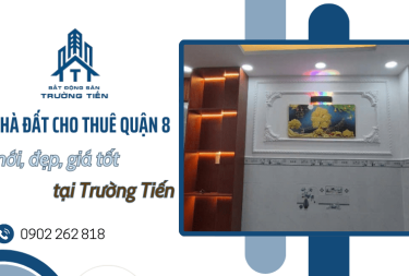 Nhà đất cho thuê quận 8 mới, đẹp, giá tốt tại Trường Tiến